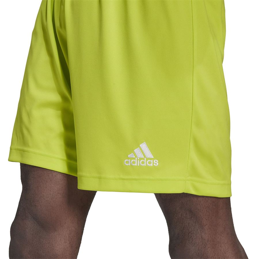 ENT22 SHORT Adidas | HC5061X